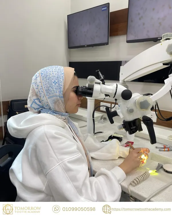 Anterior & posterior composite