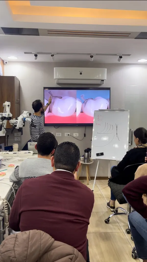 Anterior & posterior composite