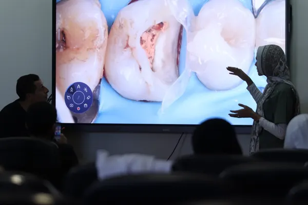 Anterior & posterior composite
